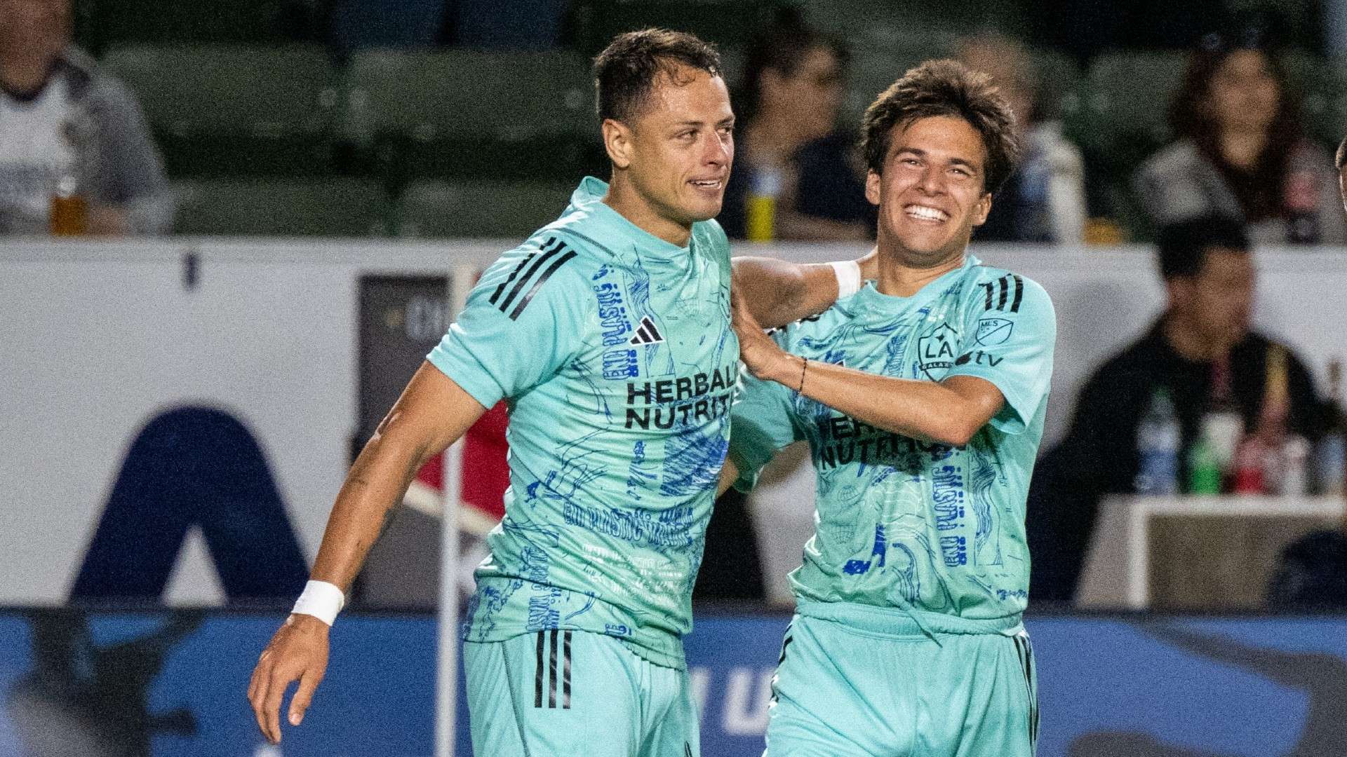 不可或缺的 不可或缺的